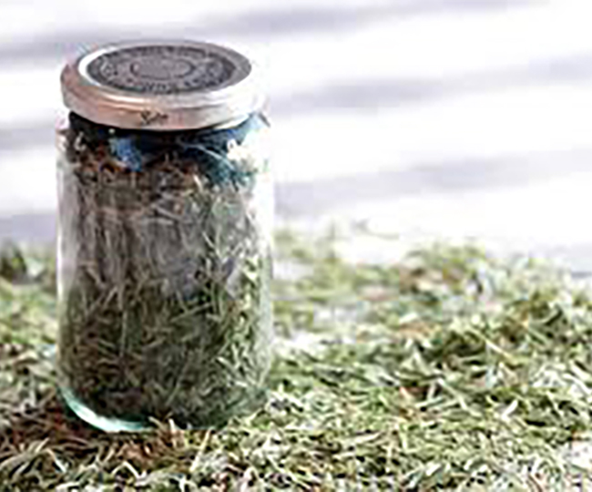 A jar full of Balsam needles set on a pile of loose Balsam needles.