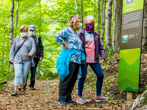 A group of masked hikers reading some of the informative signage along the Minnow Pond Trail.