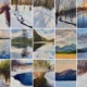 A grid of paintings by artist Takeyce Walter.
