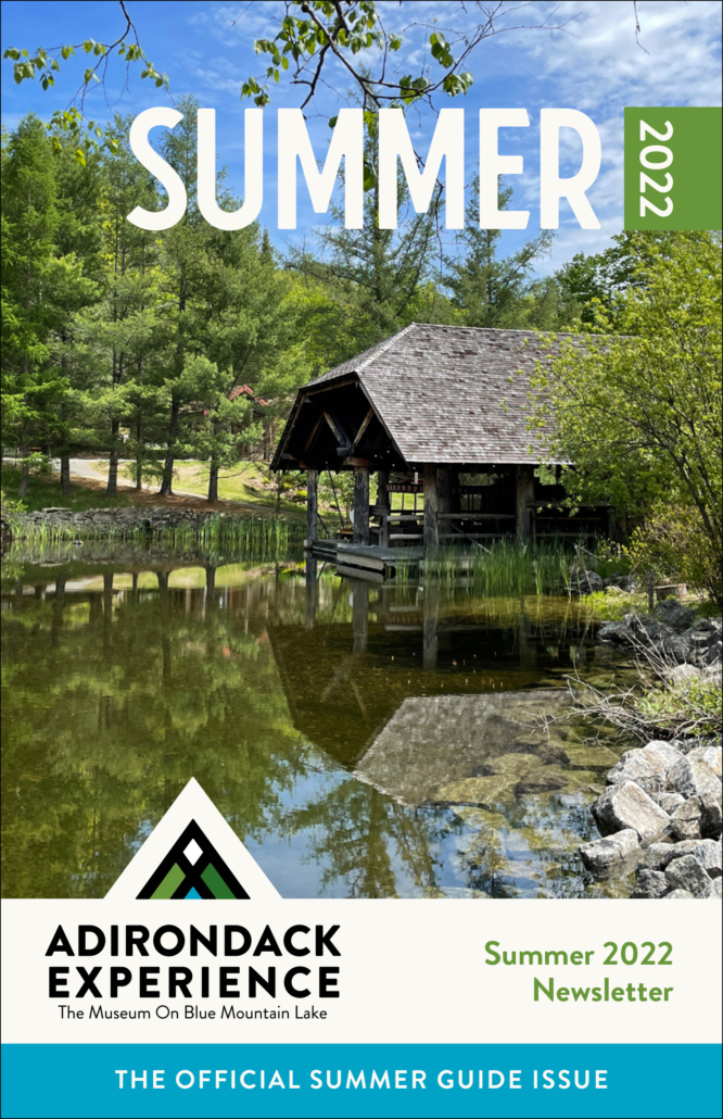 Summer newsletter cover image