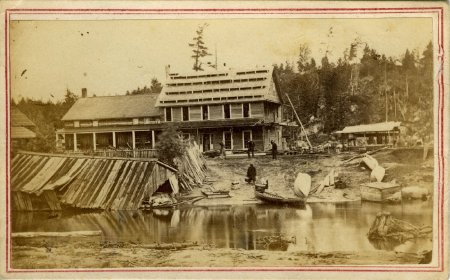 Print, Albumen                          