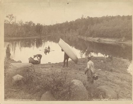 Print, albumen                          