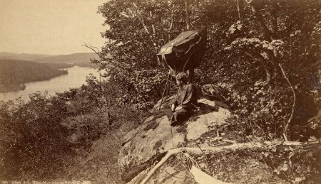 Print, albumen                          