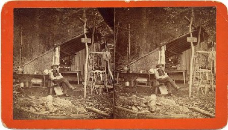 Print, albumen                          