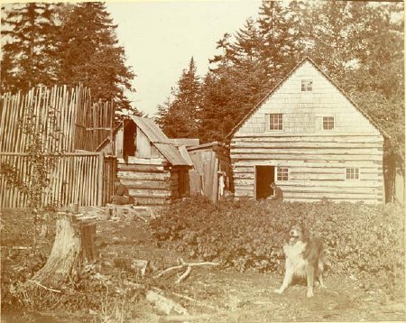 Print, albumen                          