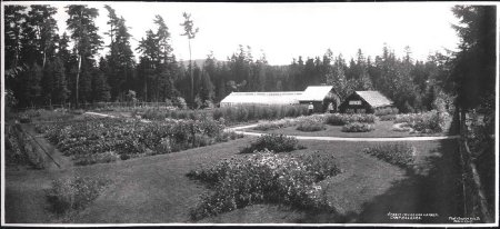 Photograph                              