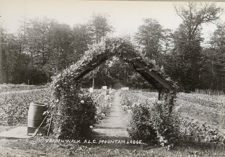 Photograph                              