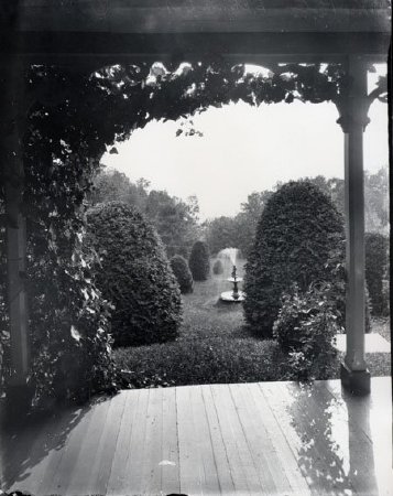 Photograph                              