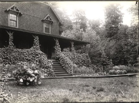 Photograph                              