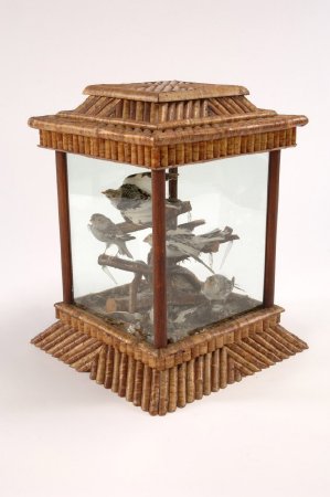 Case, Display                           