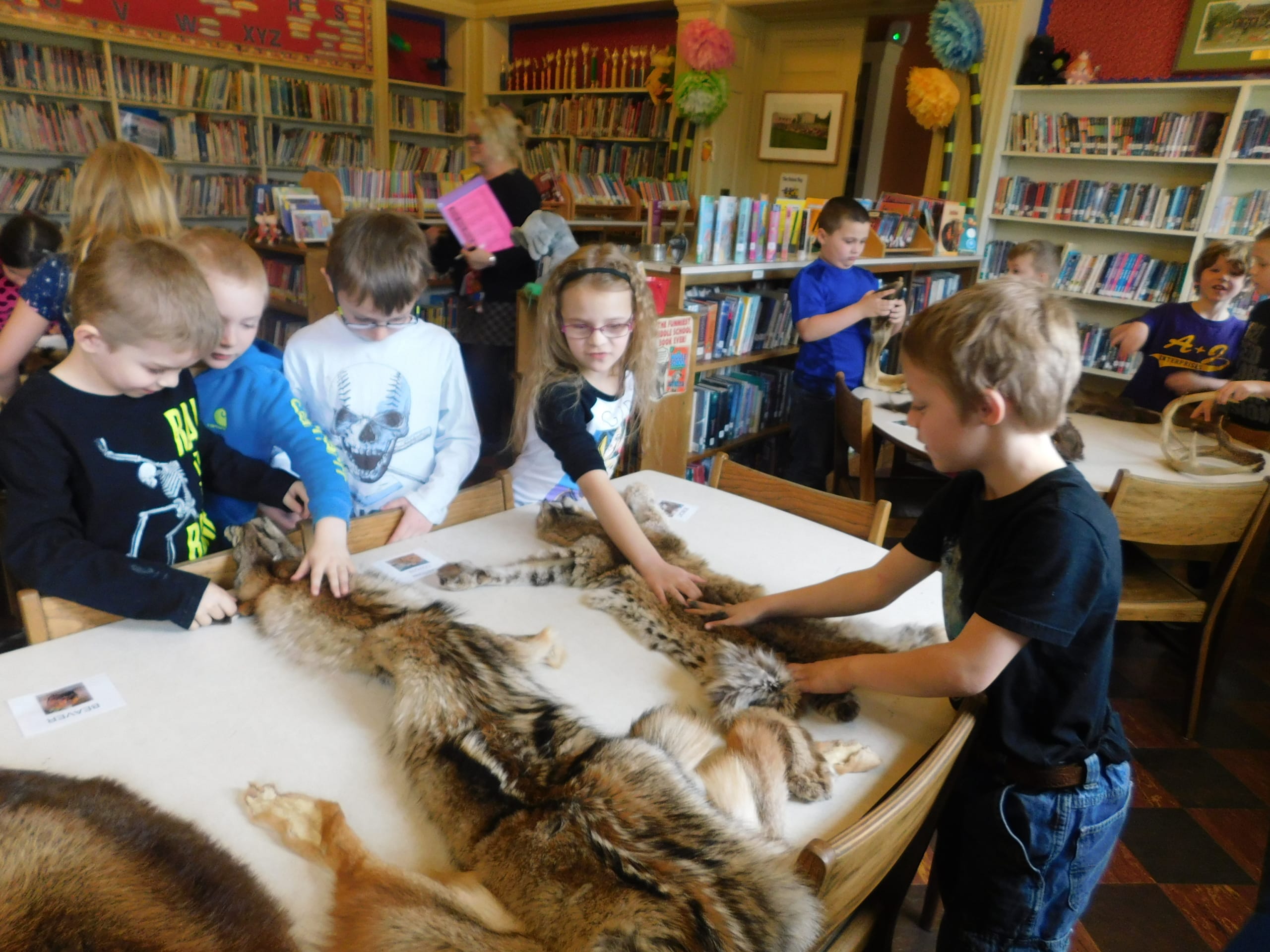 A group of young students in their school library petting the fur of various animal pelts, brought to their school for educational purposes through the ADKX Outreach Program.
