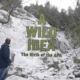 Image promotionnelle de A Wild Idea - The Birth of the APA montrant le titre du documentaire sur un flanc de montagne enneigé avec un randonneur regardant le titre.